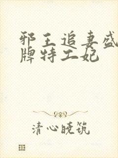 邪王追妻盛宠金牌特工妃