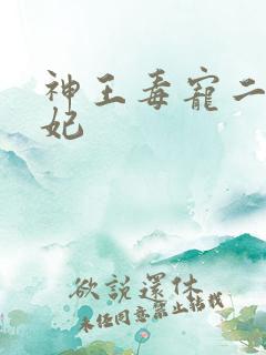 神王毒宠二嫁王妃
