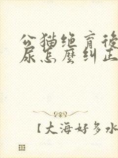 公猫绝育后还乱尿怎么纠正