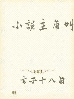 小说主角叫林昊