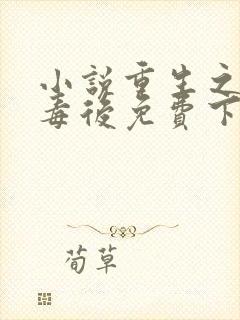 小说重生之将门毒后免费下载