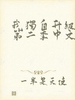 我独自升级动漫第二季中文版