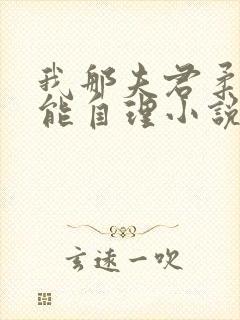 我那夫君柔弱不能自理小说