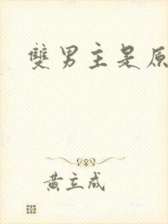 双男主是原耽吗