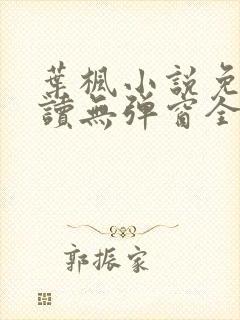 叶枫小说免费阅读无弹窗全文