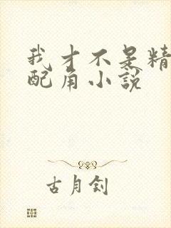 我才不是精灵文配角小说