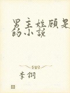男主姓顾是首辅的小说