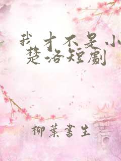 我才不是小可怜 楚洛短剧