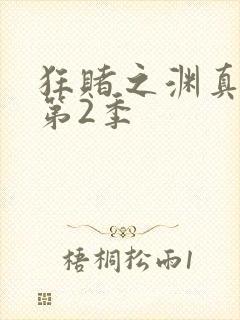 狂赌之渊真人版第2季