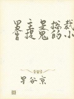 男主是总裁女主会捉鬼的小说