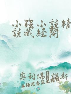 小强小说精品小说藏经阁