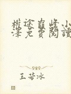 权途巅峰小说姚泽免费阅读