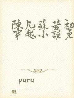 陈凡苏若初主角穿越小说免费阅读