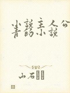 小说主人公李长青的小说