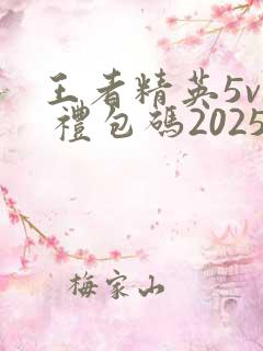 王者精英5v5 礼包码2025