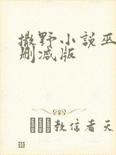 撒野小说巫哲未删减版