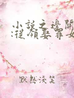 小说之边关兵王:从领娶罪女开始崛起