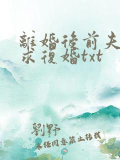 离婚后前夫哭着求复婚txt