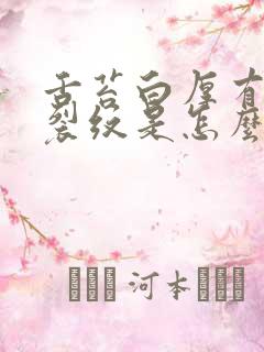 舌苔白厚有锯齿裂纹是怎么回事