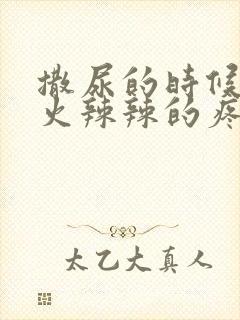 撒尿的时候尿道火辣辣的疼