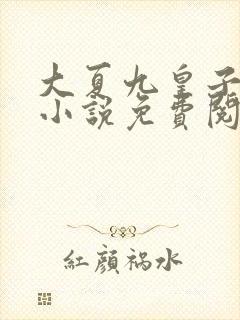 大夏九皇子夏天小说免费阅读