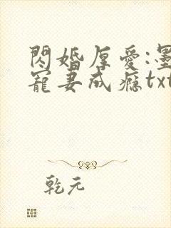 闪婚厚爱:墨少宠妻成瘾txt下载