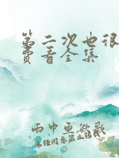 第二次也很美免费看全集