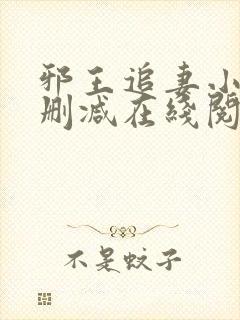 邪王追妻小说无删减在线阅读