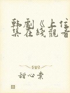 韩剧《上位》全集在线观看中文