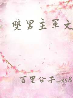 双男主军文