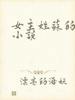 女主姓苏的古代小说