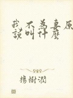 我不为妻原著小说叫什么