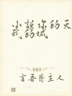 小说你的天空是我的城