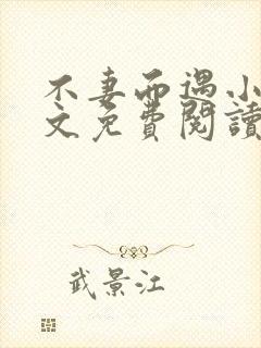 不妻而遇小说全文免费阅读