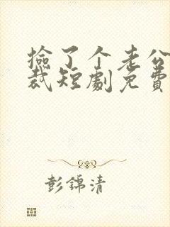 捡了个老公是总裁短剧免费观看