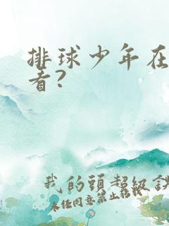 排球少年在哪里看?