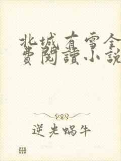 北城有雪全文免费阅读小说