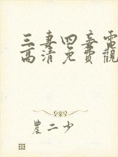 三妻四妾电视剧高清免费观看