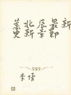 叶北辰最新超前更新章节