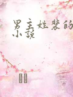 男主姓裴的言情小说