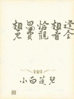 相思恰相逢短剧免费观看全集