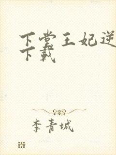 下堂王妃逆袭记下载