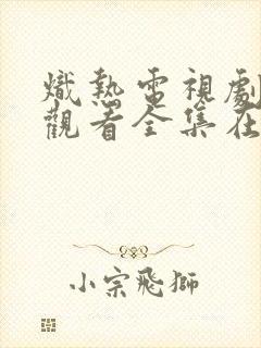 炽热电视剧免费观看全集在线播放