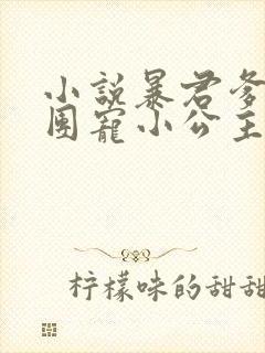 小说暴君爹爹的团宠小公主