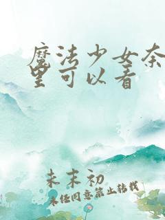 魔法少女奈叶哪里可以看