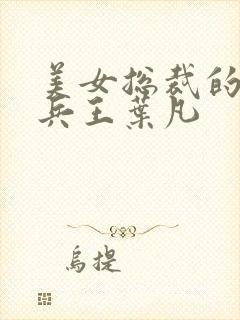 美女总裁的贴身兵王叶凡