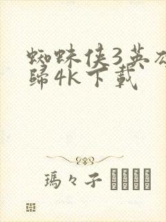 蜘蛛侠3英雄无归4k下载