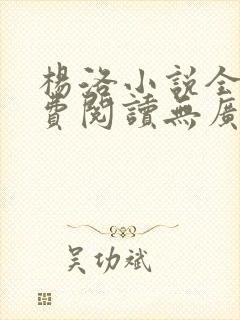 杨洛小说全文免费阅读无广告下载