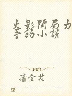 火影开局力挺纲手的小说