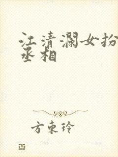 江清澜女扮男装丞相